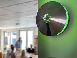 Insektsfångare Aura
