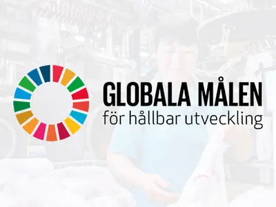 FN:s Globala mål